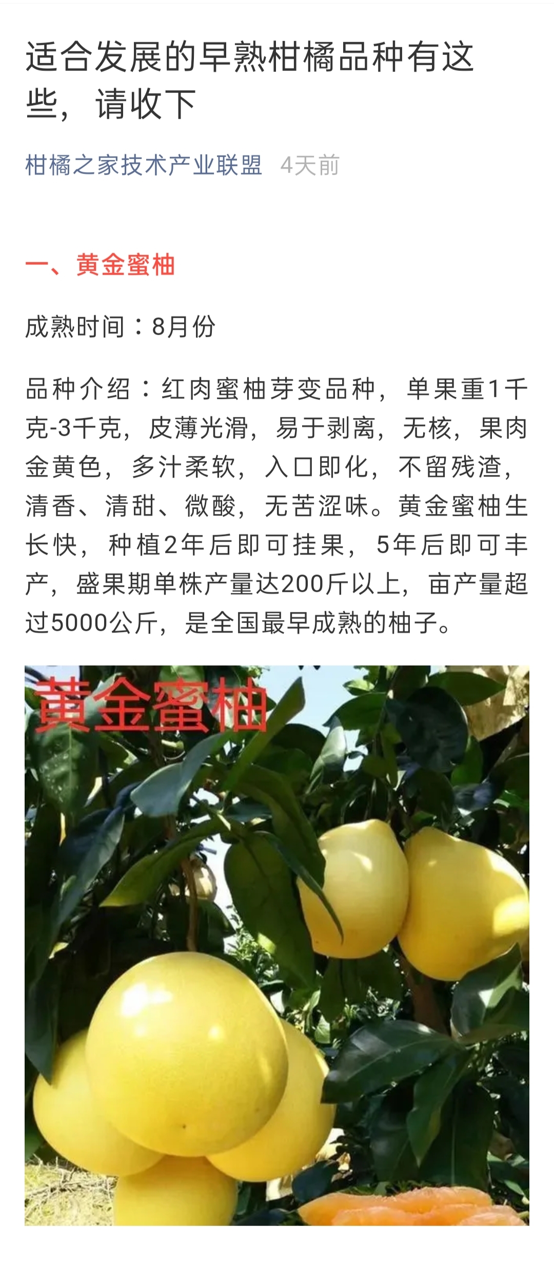 網站(zhàn)公告