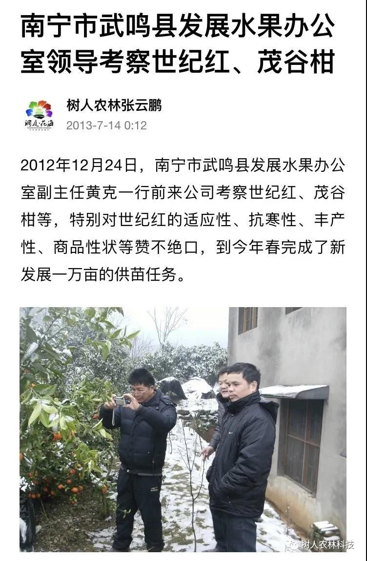 長沙市順世農林科技有限公司,湖(hú)南(nán)柑橘品種銷售,中國(guó)果樹(shù)網,常綠(lǜ)果樹(shù)類哪裡(lǐ)好(hǎo)