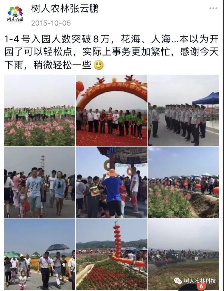 長沙市順世農林科技有限公司,湖(hú)南(nán)柑橘品種銷售,中國(guó)果樹(shù)網,常綠(lǜ)果樹(shù)類哪裡(lǐ)好(hǎo)