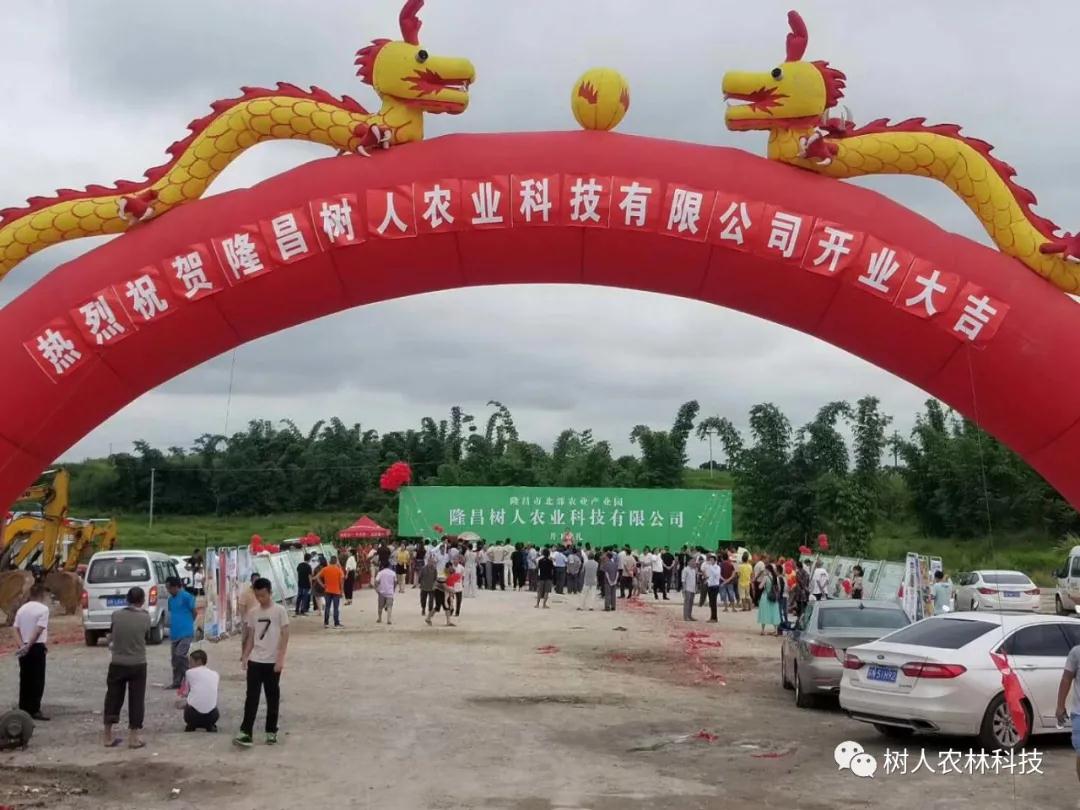 長沙市順世農林科技有限公司,湖(hú)南(nán)柑橘品種銷售,中國(guó)果樹(shù)網,常綠(lǜ)果樹(shù)類哪裡(lǐ)好(hǎo)