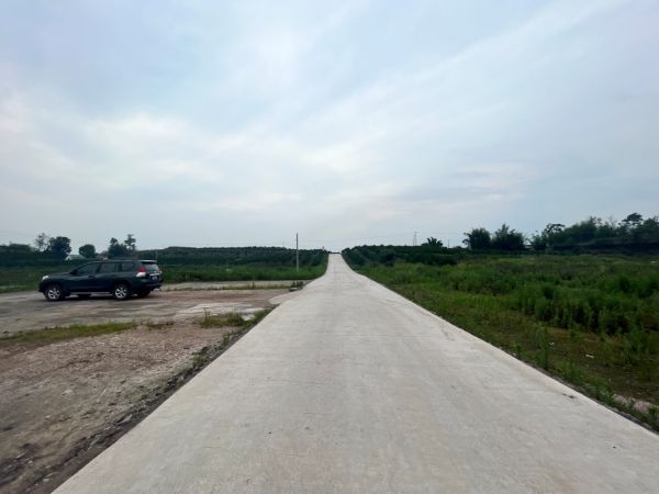 長沙市順世農林科技有限公司,湖(hú)南(nán)柑橘品種銷售,中國(guó)果樹(shù)網,常綠(lǜ)果樹(shù)類哪裡(lǐ)好(hǎo)