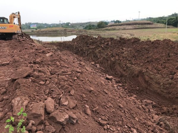 長沙市順世農林科技有限公司,湖(hú)南(nán)柑橘品種銷售,中國(guó)果樹(shù)網,常綠(lǜ)果樹(shù)類哪裡(lǐ)好(hǎo)