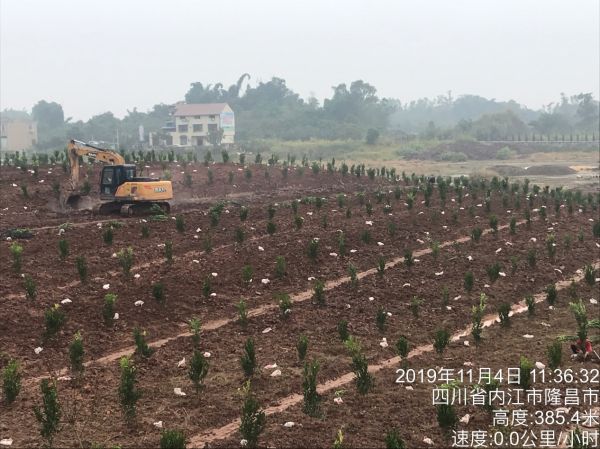 長沙市順世農林科技有限公司,湖(hú)南(nán)柑橘品種銷售,中國(guó)果樹(shù)網,常綠(lǜ)果樹(shù)類哪裡(lǐ)好(hǎo)